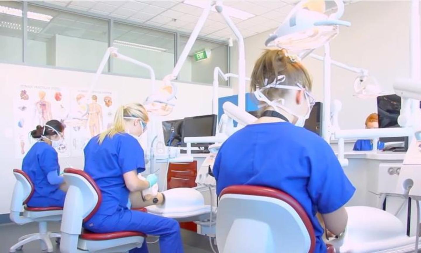 Dental Training and Education RMIT University Dental Training and Education RMIT University